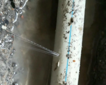 安次卫生间测漏水多少钱